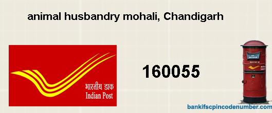 Postal pin code number of animal husbandry mohali, Chandigarh